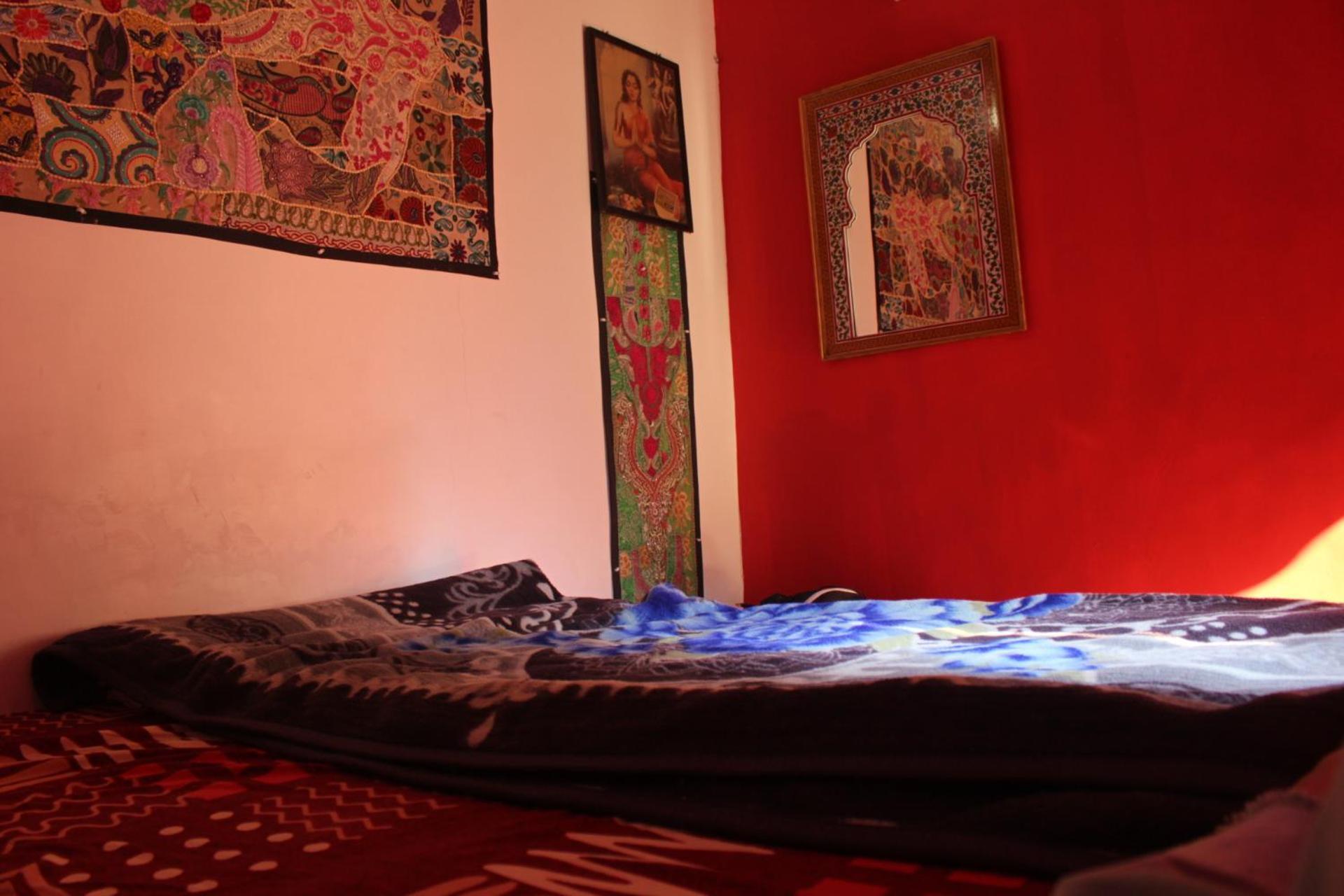 Little Prince Guest House & Homestay 比卡内尔 外观 照片